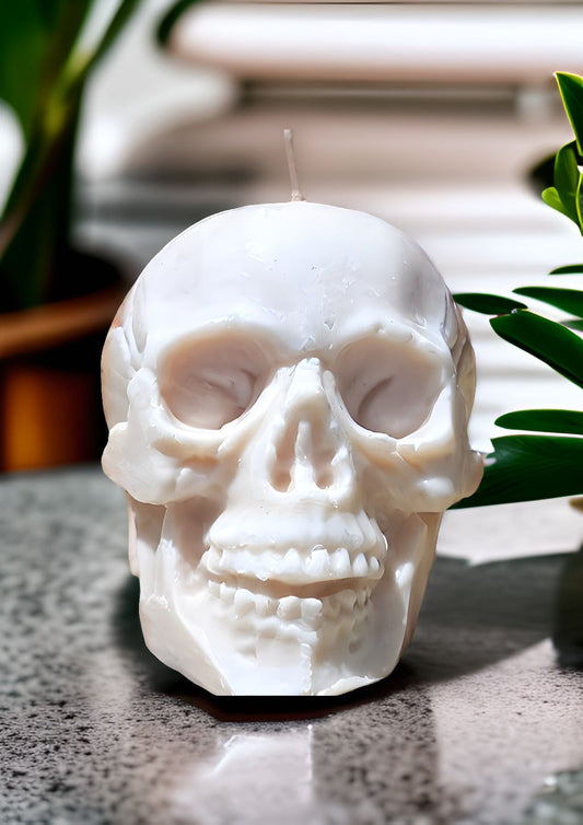 Skull Candle - Medium